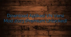 Download Aplikasi VN Versi Mod 2023 (Premium Unlocked)