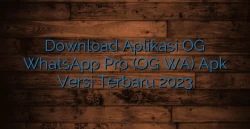 Download Aplikasi OG WhatsApp Pro (OG WA) Apk Versi Terbaru 2023