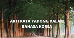 Arti Kata Yadong Dalam Bahasa Korea yang Viral